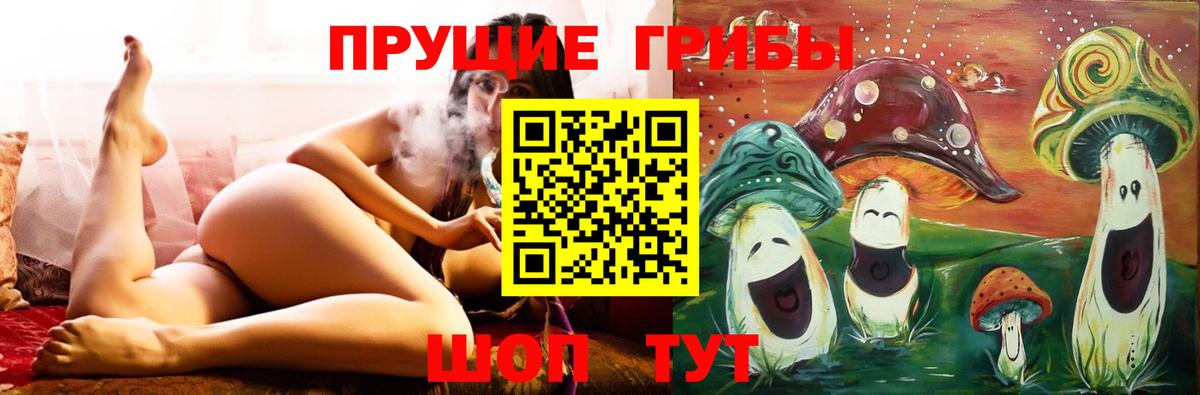 Галлюциногенные грибы GOLDEN TEACHER  Вход с VPN  Галлюциногенные грибы ЛСД  Волгоград 